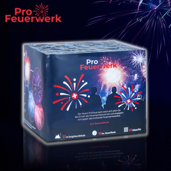 ProFeuerwerk - Art of Fire, 49 Schuss